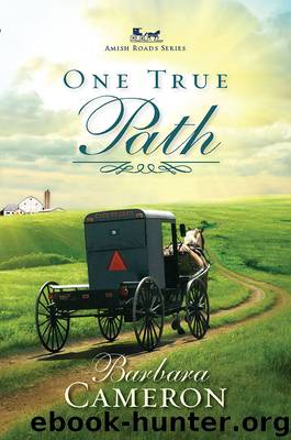 One True Path by Cameron Barbara;