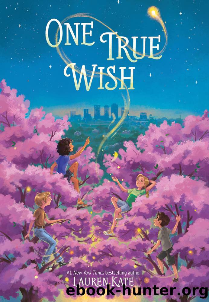 One True Wish by Lauren Kate