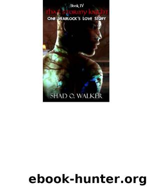 One Warlock's Love Story 4 - That Stormy Knight by Walker Shad O