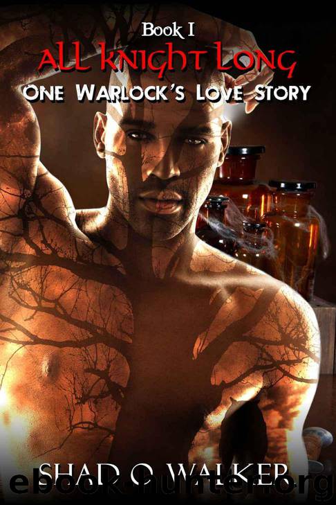 One Warlock's Love Story: All Knight Long by Walker Shad O