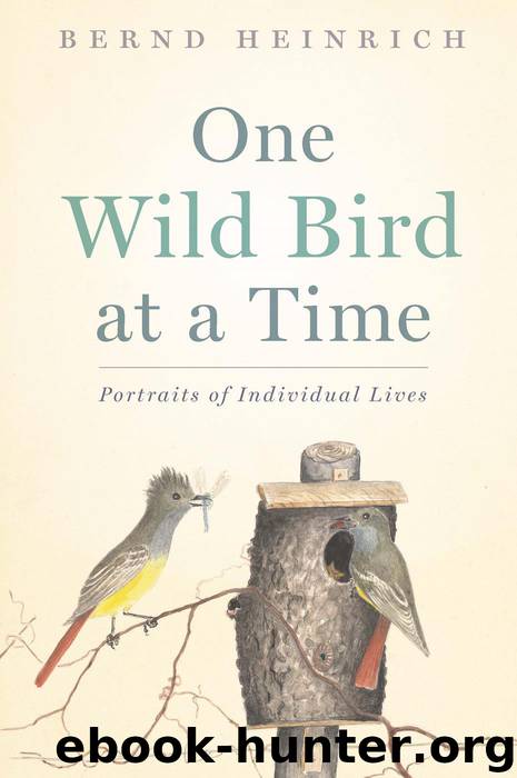 One Wild Bird at a Time by Bernd Heinrich