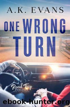 One Wrong Turn (Road Trip Romance Book 3) by A.K. Evans