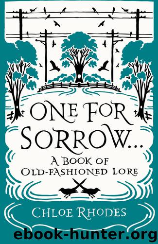 One for Sorrow by Chloe Rhodes