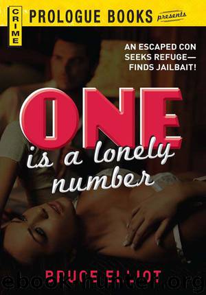One is a Lonely Number by Bruce Elliott