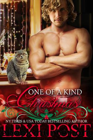 One of a Kind Christmas by Lexi Post