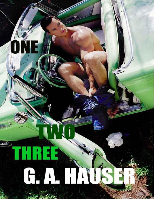 One, Two, Three by Hauser G. A