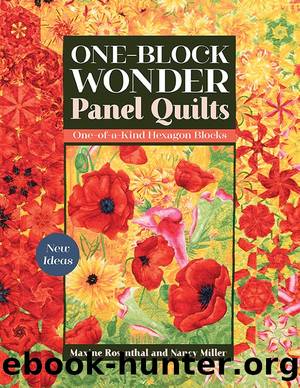 One-Block Wonder Panel Quilts by Maxine Rosenthal and Nancy Miller