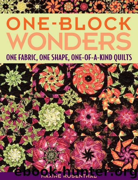 One-Block Wonders by Maxine Rosenthal