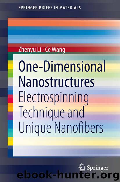 One-Dimensional nanostructures by Zhenyu Li & Ce Wang