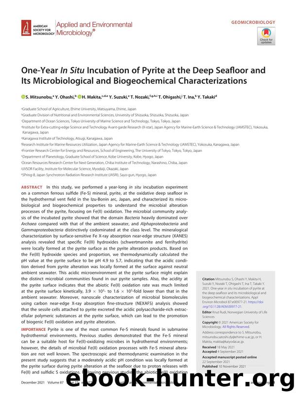 One-Year In Situ Incubation of Pyrite at the Deep Seafloor and Its Microbiological and Biogeochemical Characterizations by S. Mitsunobu & Y. Ohashi & H. Makita & Y. Suzuki & T. Nozaki & T. Ohigashi & T. Ina & Y. Takaki