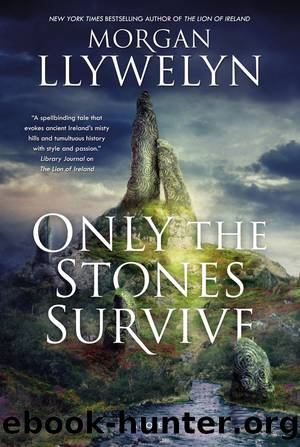 Only the Stones Survive by Morgan Llywelyn
