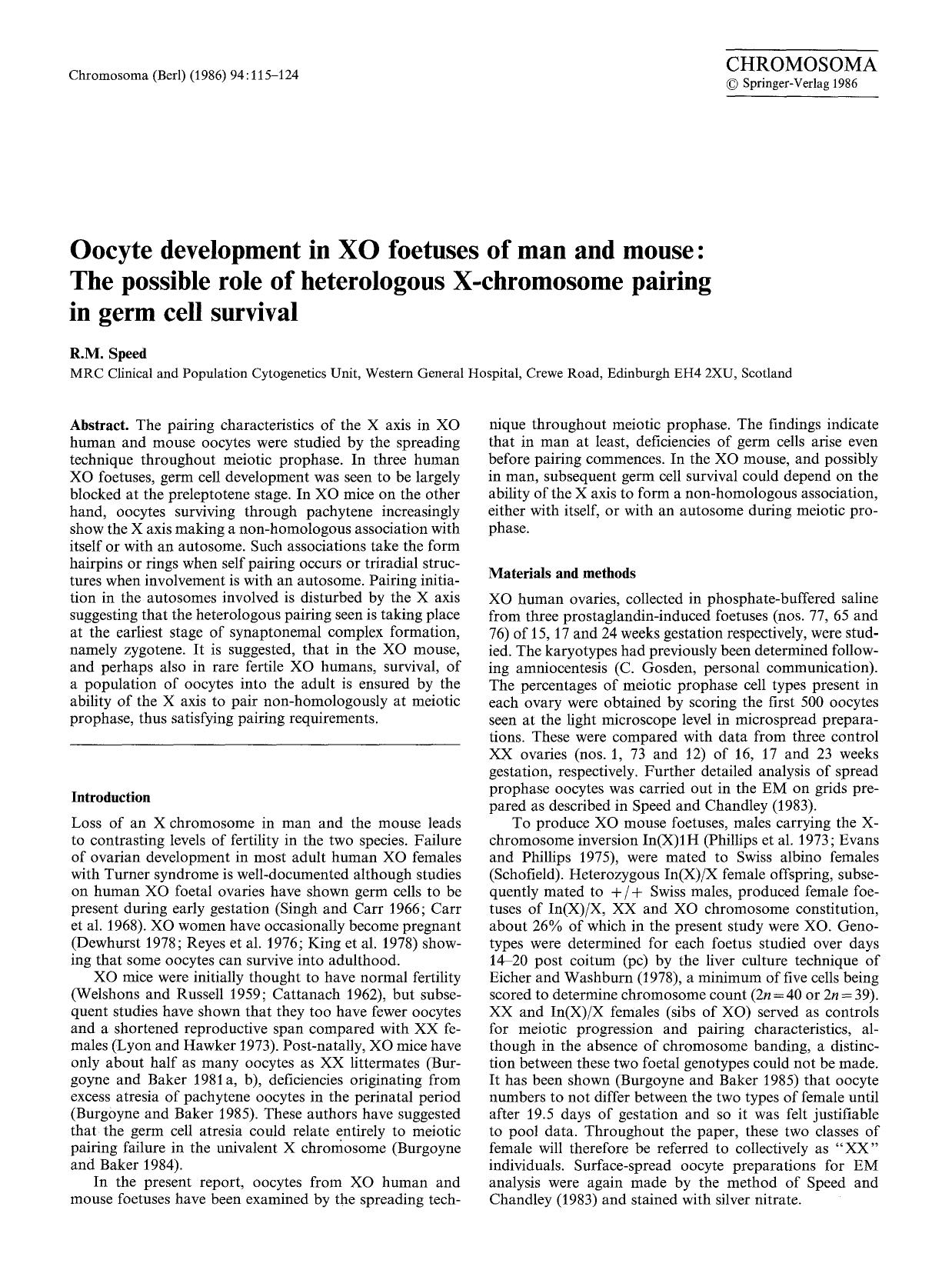 Oocyte development in XO foetuses of man and mouse: the possible role of heterologous X-chromosome pairing in germ cell survival by Unknown