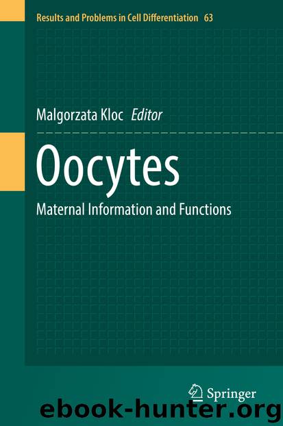 Oocytes by Malgorzata Kloc