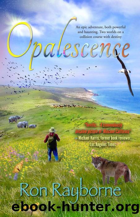 Opalescence: The Middle Miocene Play of Color by Ron Rayborne