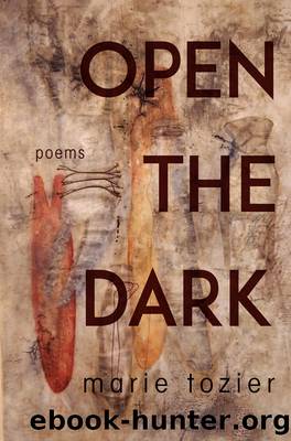 Open the Dark by Marie Tozier