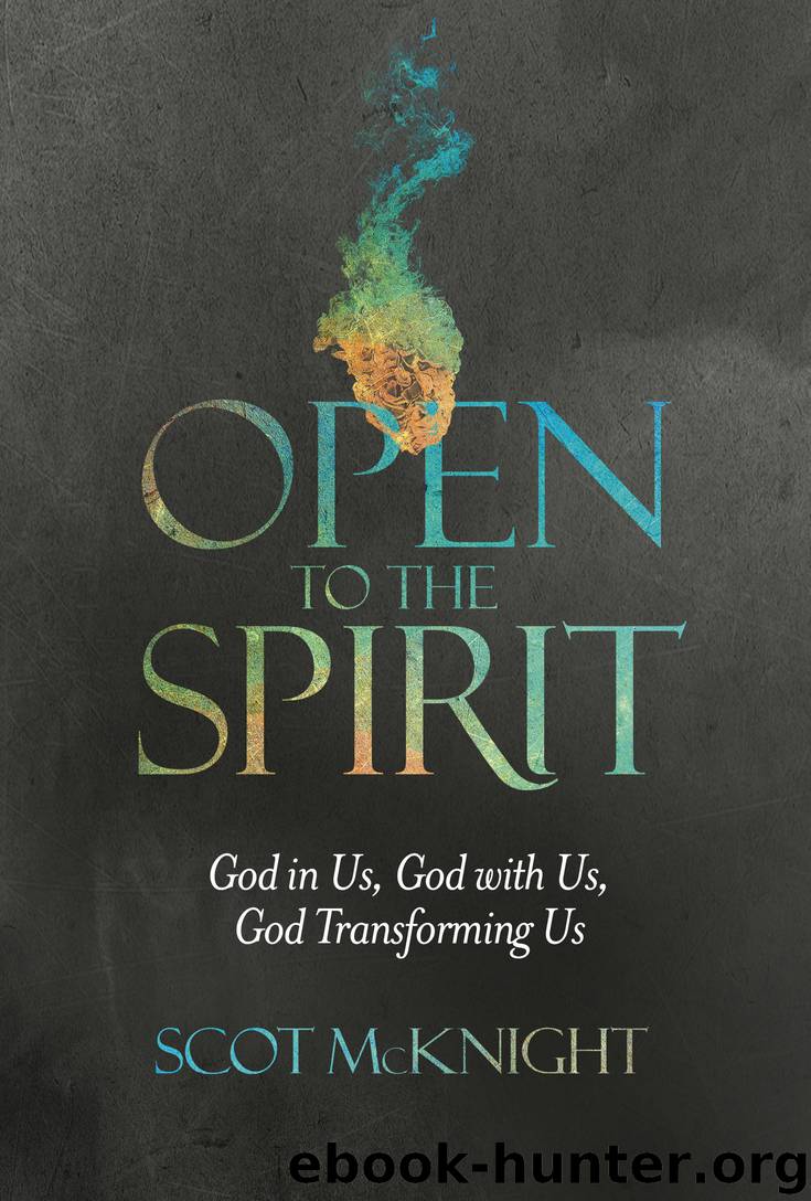 Open to the Spirit by Scot McKnight & Dave Ferguson