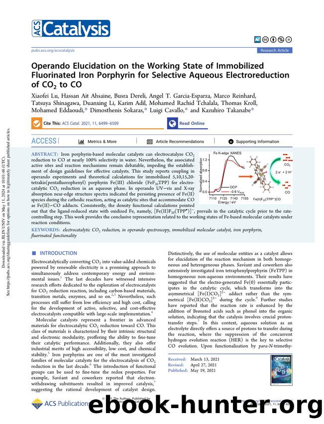 Operando Elucidation on the Working State of Immobilized Fluorinated Iron Porphyrin for Selective Aqueous Electroreduction of CO2 to CO by unknow