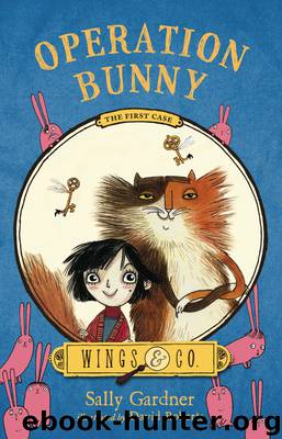 Operation Bunny by Sally Gardner