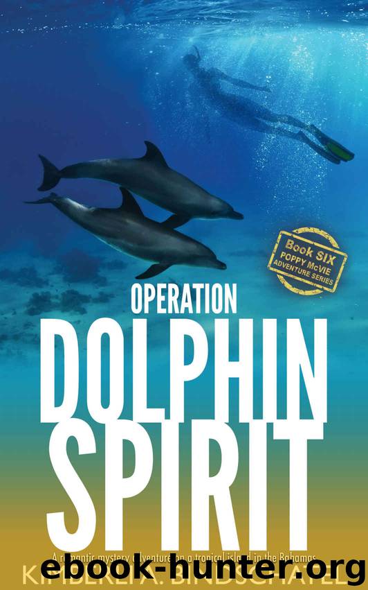 Operation Dolphin Spirit by Kimberli A Bindschatel