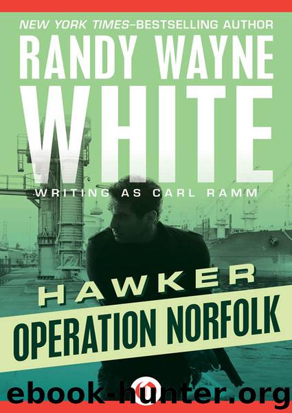 Operation Norfolk by Randy Wayne White