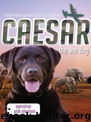 Operation Pink Elephant by Stephen Dando-Collins