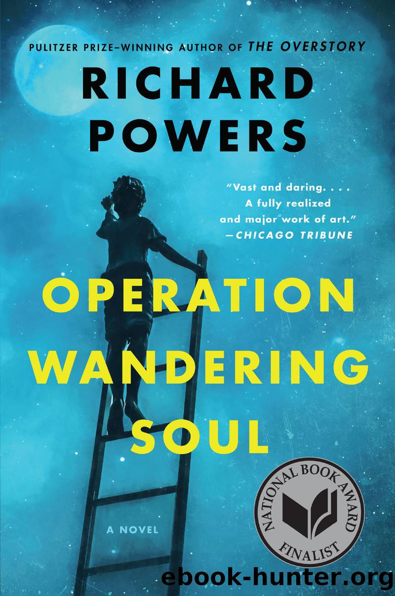 Operation Wandering Soul by Richard Powers