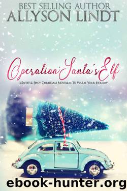 Operation: Santa's Elf: 3 Sweet & Spicy Christmas Novellas (Operation: Holiday Cheer Book 1) by Allyson Lindt