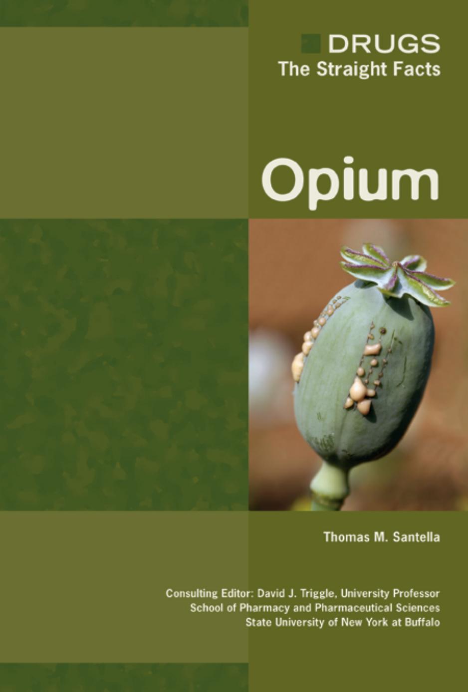 Opium by Unknown
