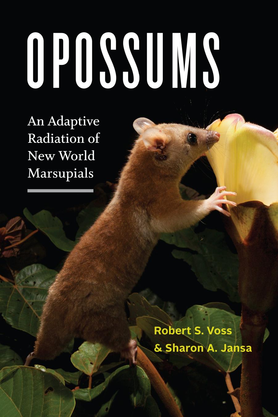 Opossums: An Adaptive Radiation of New World Marsupials by Robert S. Voss & Sharon A. Jansa