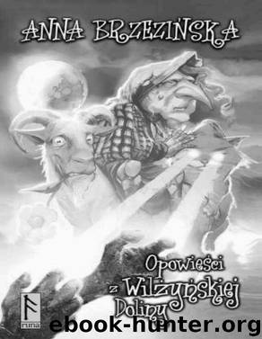 Opowiesci z Wilzynskiej Doliny by BRZEZINSKA ANNA