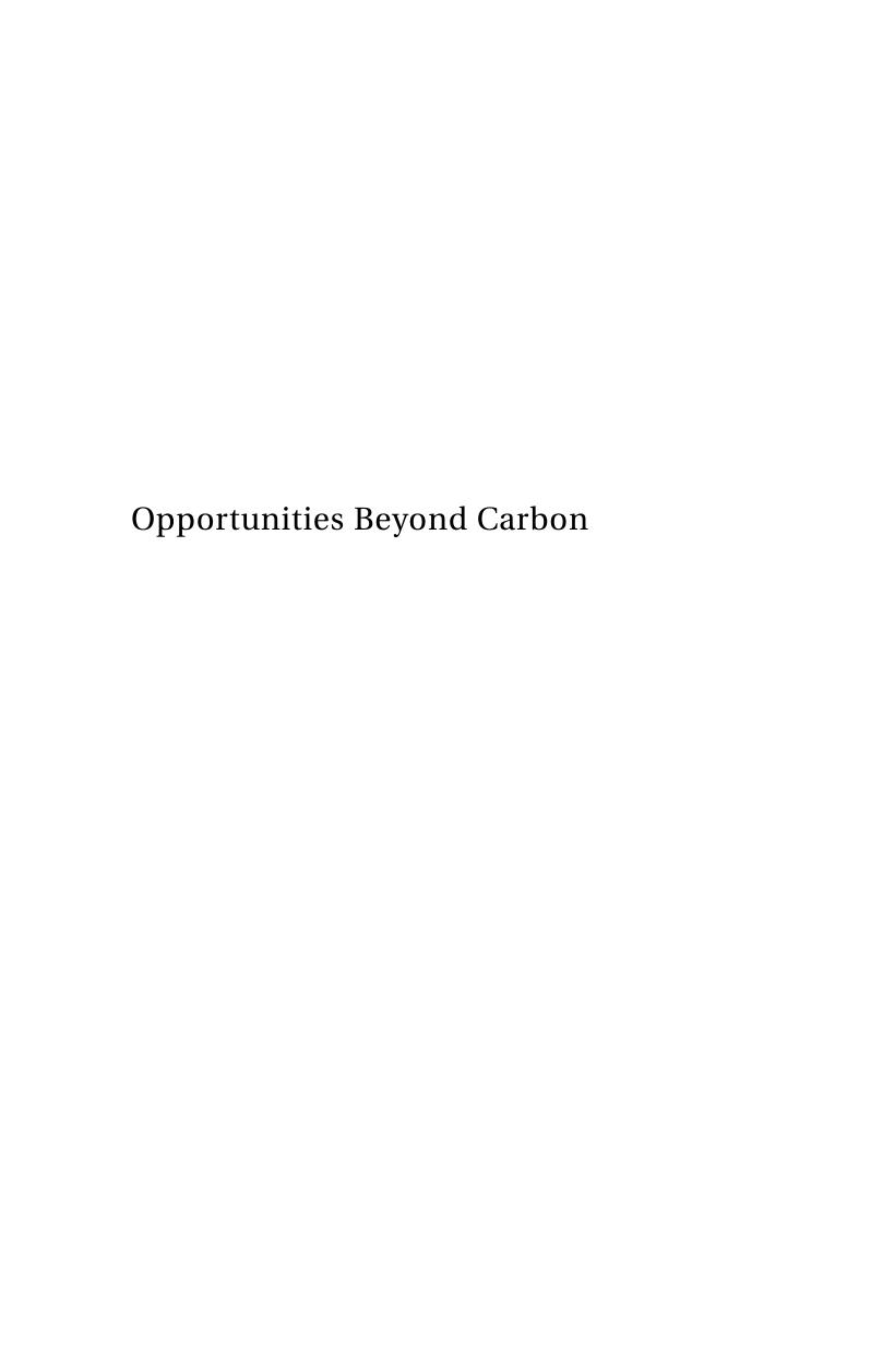 Opportunities Beyond Carbon: Looking Forward to a Sustainable World by John O’Brien (ed.)
