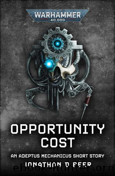 Opportunity Cost by Jonathan D Beer