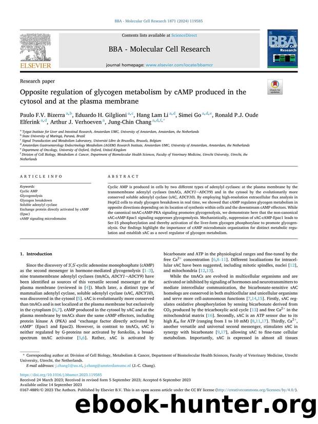 Opposite regulation of glycogen metabolism by cAMP produced in the cytosol and at the plasma membrane by unknow