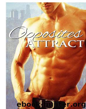 Opposites Attract by Cat Johnson
