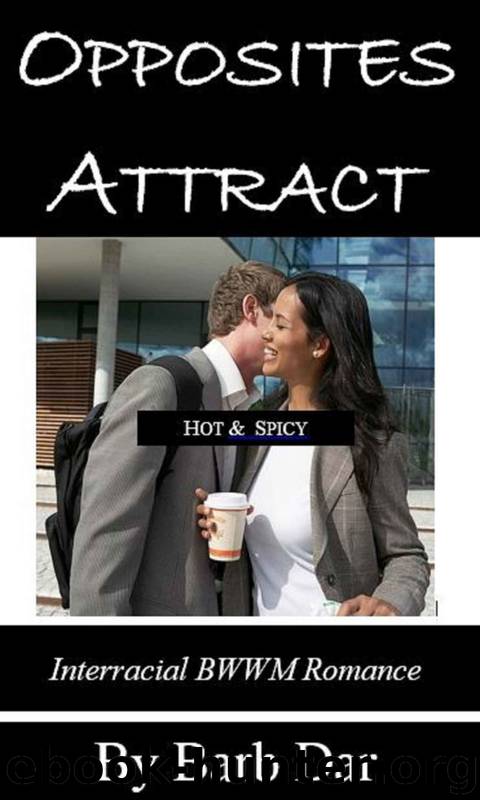 Opposites Attract: Interracial BWWM Romance by Barb Dar