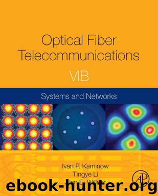 Optical Fiber Telecommunications Volume VIB by Kaminow Ivan Li Tingye Willner Alan E. & Tingye Li & Alan E. Willner