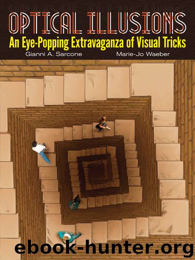 Optical Illusions by Gianni A. Sarcone
