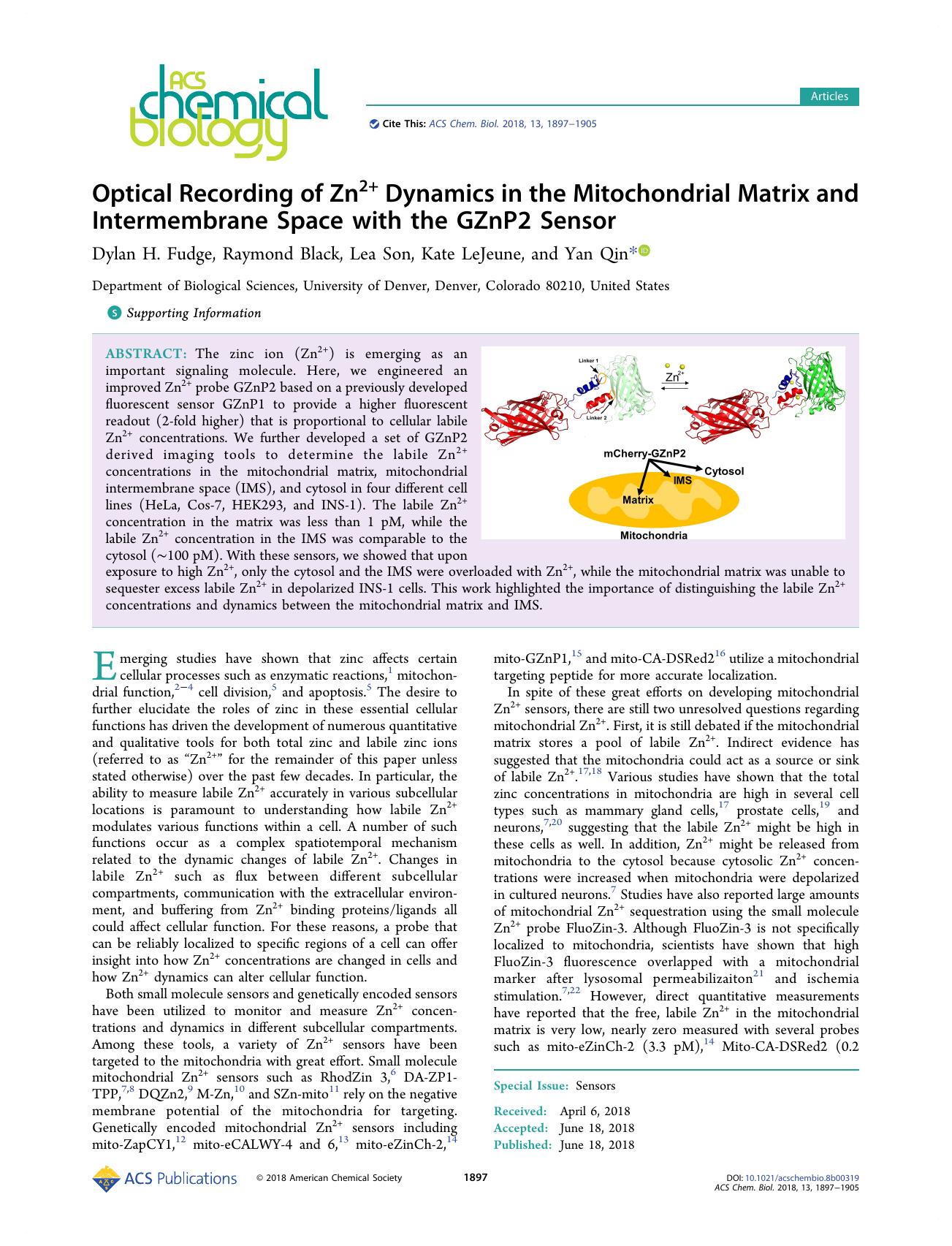 Optical Recording of Zn2+ Dynamics in the Mitochondrial Matrix and Intermembrane Space with the GZnP2 Sensor by Dylan H. Fudge Raymond Black Lea Son Kate LeJeune and Yan Qin