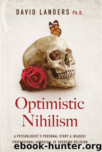 Optimistic Nihilism by David Landers