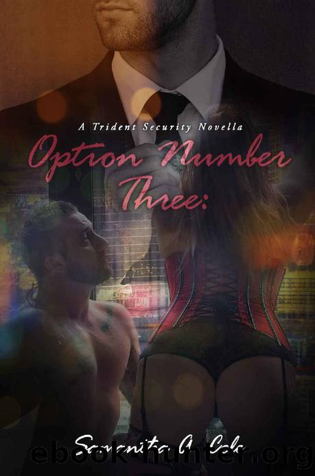 Option Number Three: A Trident Security Novella - Book 7.5 by Samantha A. Cole
