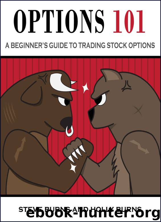 Options 101: A Beginner's Guide to Trading Options in the Stock Market by Steve Burns & Holly Burns