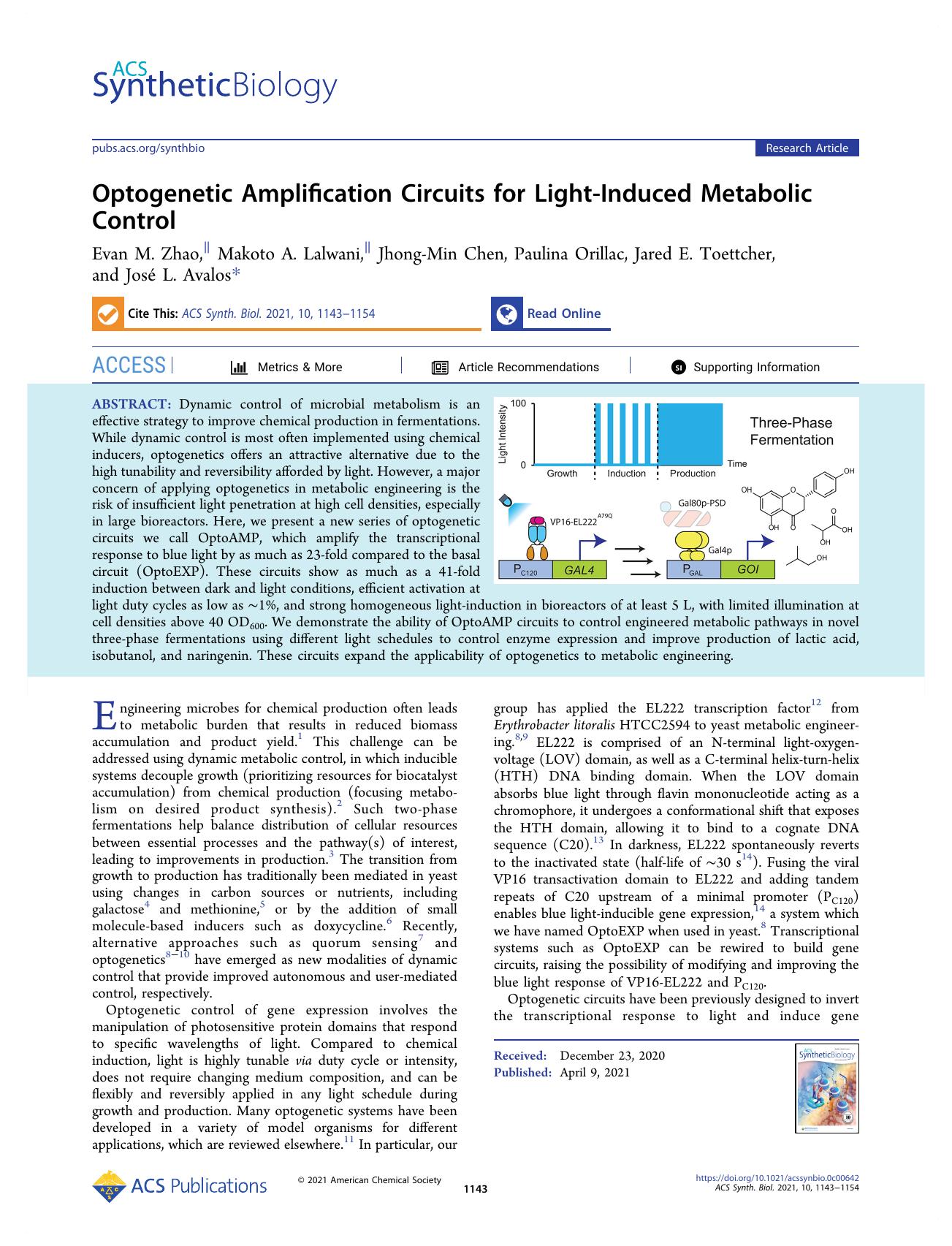 Optogenetic Amplification Circuits for Light-Induced Metabolic Control by unknow