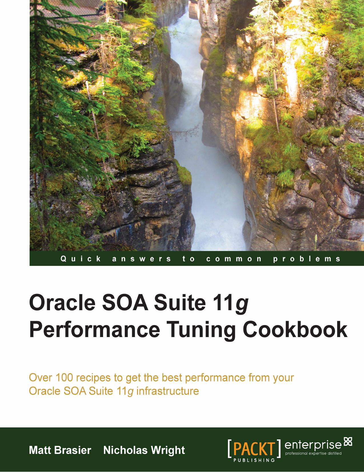 Oracle SOA Suite 11g Performance Tuning Cookbook by Unknow