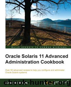 Oracle Solaris 11 Advanced Administration Cookbook by Alexandre Borges
