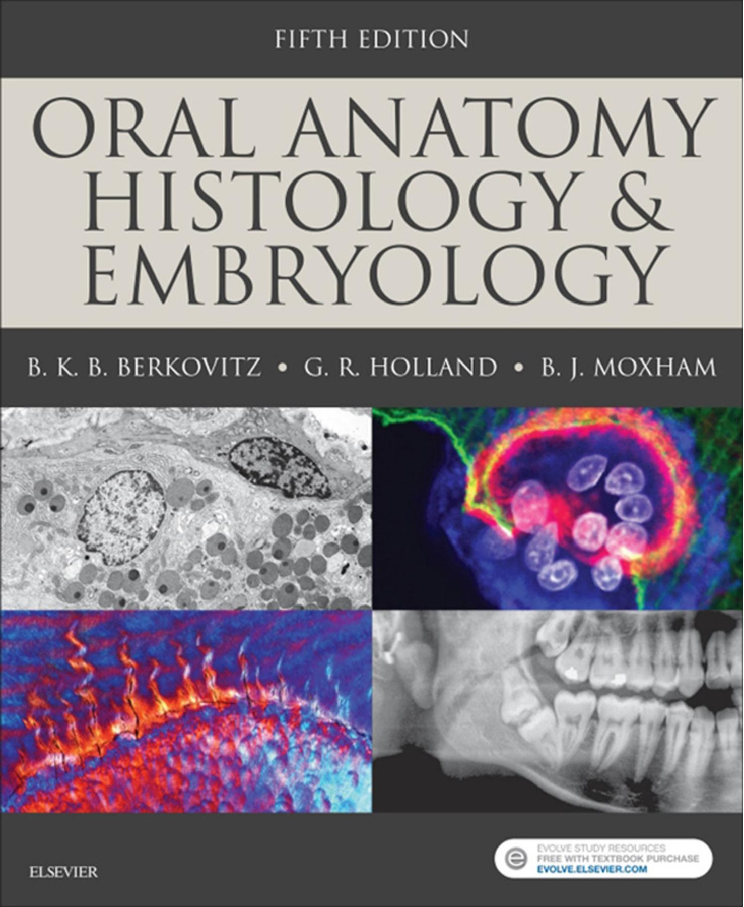 Oral Anatomy, Histology and Embryology by B.K.B. Berkovitz; G R Holland; Bernard J Moxham