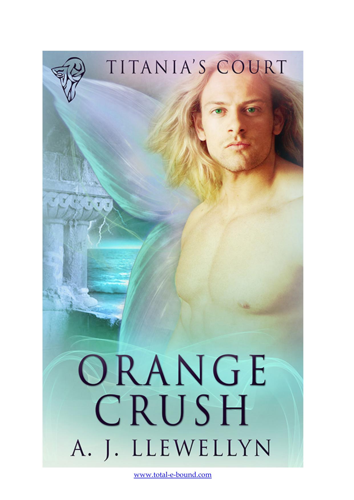 Orange Crush by A.J. Llewellyn