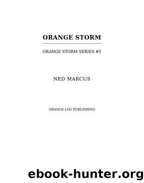 Orange Storm by Ned Marcus