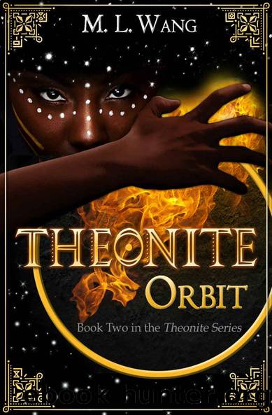 Orbit by M. L. Wang