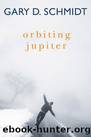 Orbiting Jupiter by Schmidt Gary D