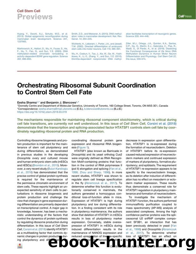 Orchestrating Ribosomal Subunit Coordination to Control Stem Cell Fate by Eesha Sharma & Benjamin J. Blencowe